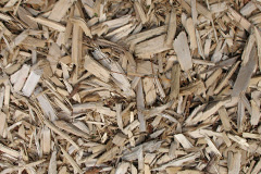biomass boilers Woodchurch